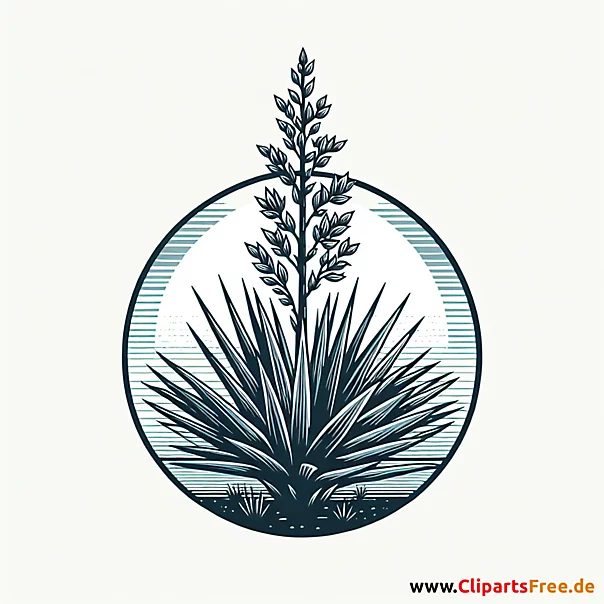 Yucca Clipart zum Thema Blumen