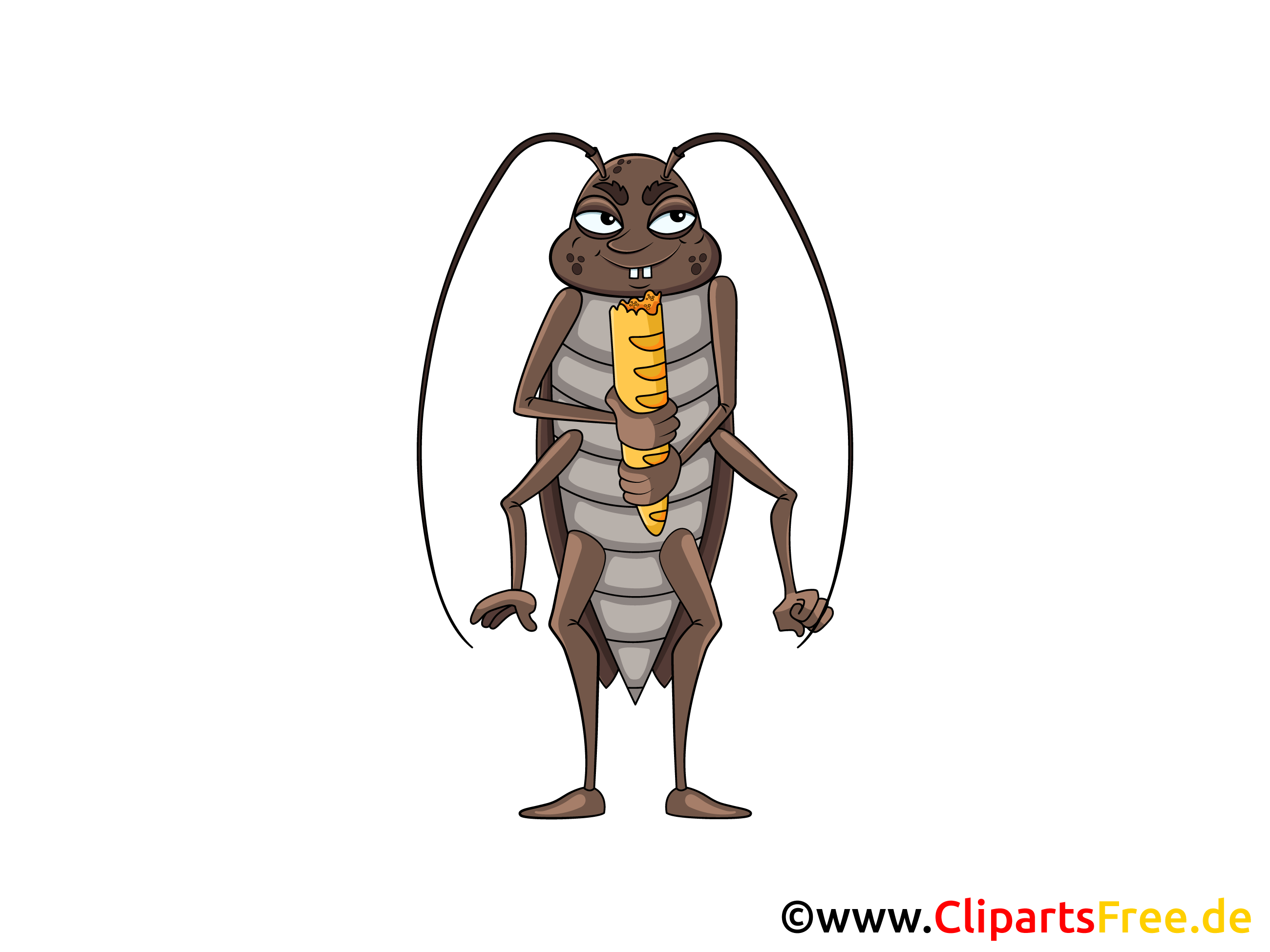 Таракан с рисунком на спине
