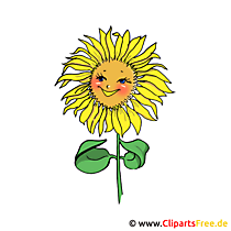 Sonnenblume Bild Clipart gratis