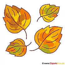 Blätter Clipart - Herbst Bilder gratis