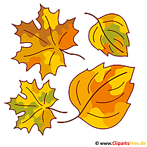 Blatt, Blätter, Baumblatt - Herbst Bilder gratis