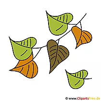 Herbst Bilder - Grüne Blätter Clipart