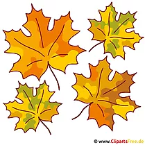 Herbst Clipart kostenlos