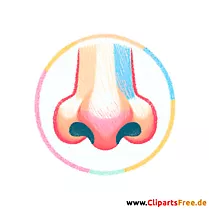 Nase Clipart - Bilder zum Herunterladen