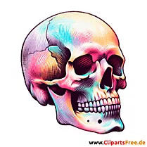 Totenkopf Clipart - Bilder zum Herunterladen