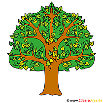 Baum Clipart - Sommer Cliparts free