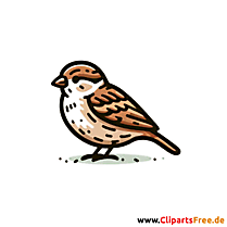 Spatz Clipart, Bild, Illustration